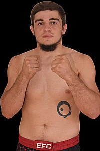 Vladimir Ozerov